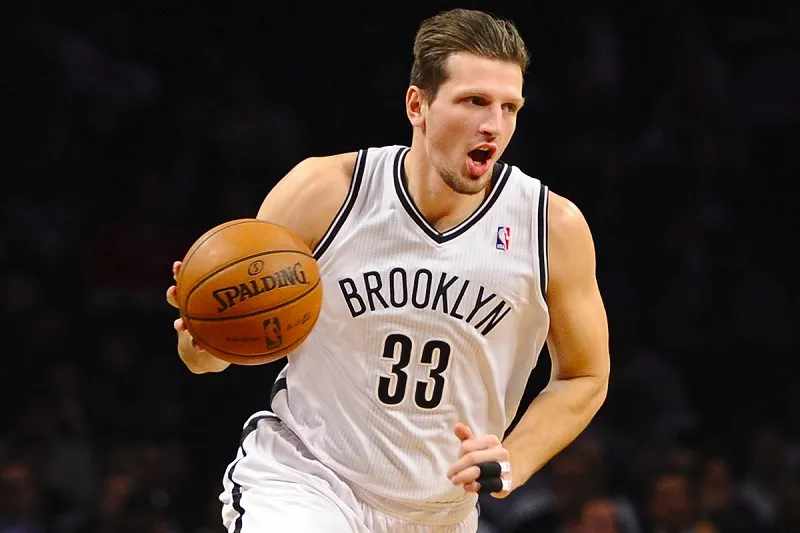 mirza teletovic