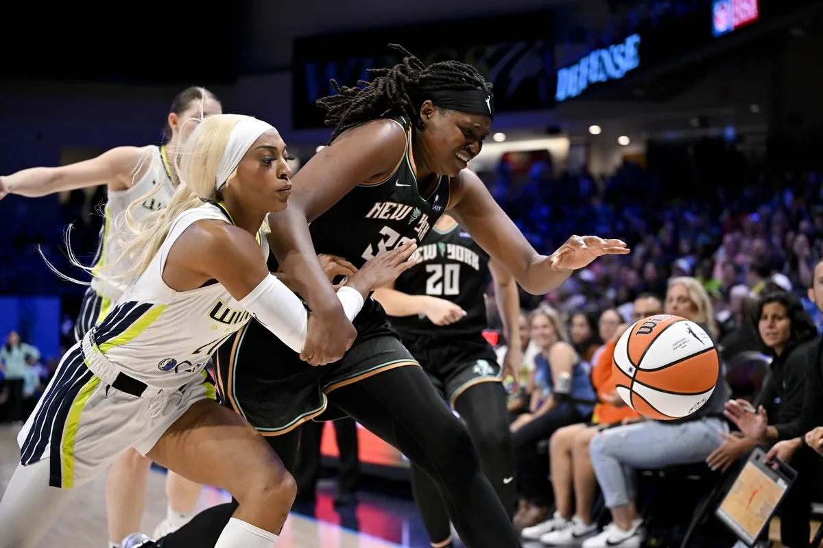Les Dallas Wings en WNBA