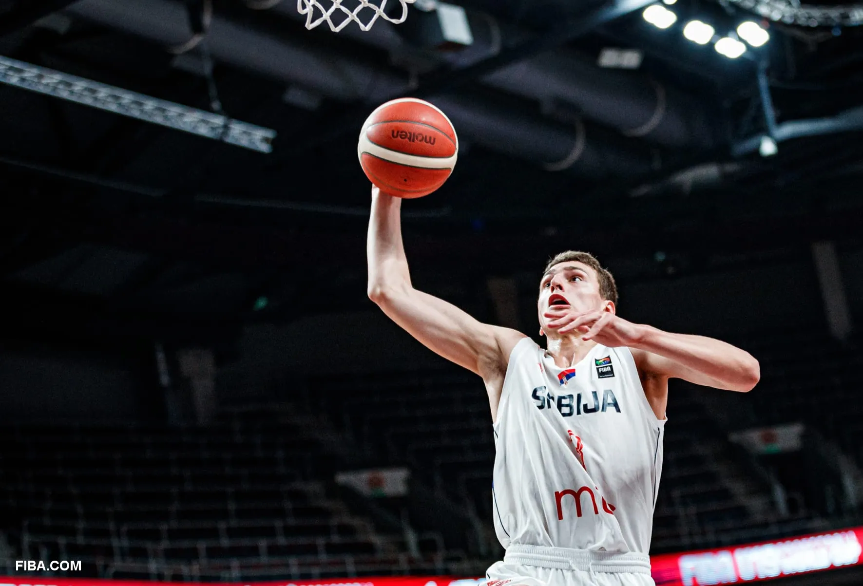 nikola jovic