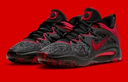 Une KD 15 aux couleurs… des Blazers