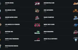 Casse-tête pour la NBA : les Pacers vont racheter les Fort Wayne Mad Ants, dernière franchise indépendante en D-League