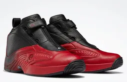 Une Answer IV en « Bred »