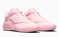 La SHAI 001 voit la vie en rose