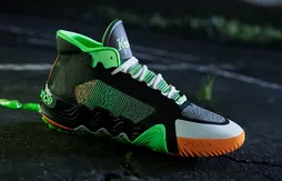 Quand la KAWHI II donne la chair de poule