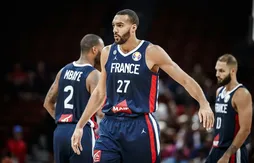 Rudy Gobert, le géant bleu