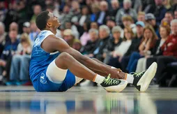 Anthony Edwards, le Wolverine des Wolves