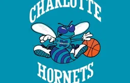 Officiel : les Charlotte Hornets de retour en 2014
