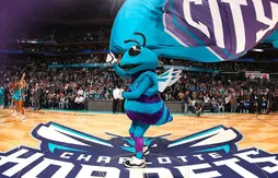 Avec les victoires, les Hornets ont aussi reconquis leur public