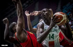 AfroBasket 2017 : le Nigéria, le Sénégal, le Maroc et la Tunisie dans le dernier carré