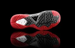 Nike dévoile la LeBron 9