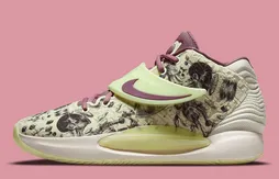 La note artistique pour la KD 14