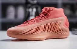 La AE 1 “Georgia Red Clay” dans la lumière