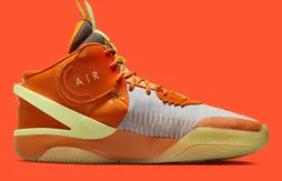 La Nike Air Deldon 1 aux couleurs de la WNBA