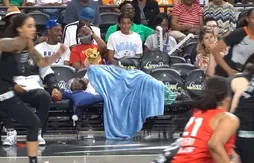 Le YouTubeur JiDion banni de tous les évènements NBA pour avoir “dormi” à un match WNBA