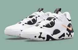 La PG 6 passe au noir et blanc