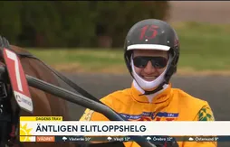 Le rêve de Nikola Jokic ? Devenir entraîneur de trot