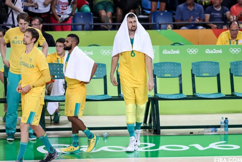 bogut copie