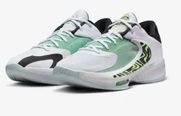 La Zoom Freak 4 disponible en France