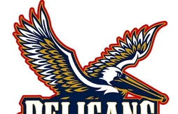 Les Hornets vont changer de couleurs et de nom