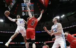 Les Hornets piquent des Bulls inoffensifs