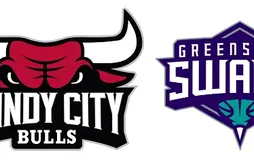 D-League : trois nouvelles franchises la saison prochaine