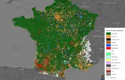 Deuxième sport collectif en France, le basket concurrence le rugby dans le Sud-Ouest