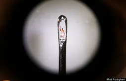 Le meilleur de la semaine (66)