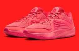 La KD 16 Saniya disponible en France !