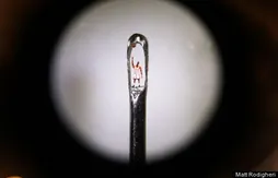 Le meilleur de la semaine (66)