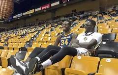 NCAA : quand Mamadou N’Diaye (2m29) défie Tacko Fall (2m29)