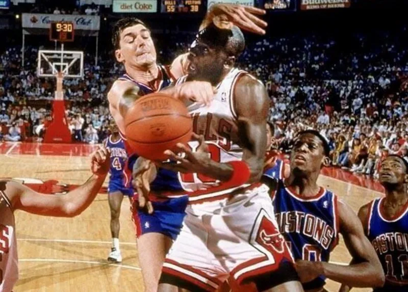 bulls-90