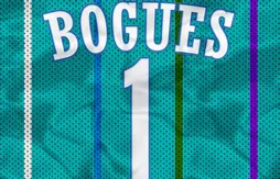 Les Hornets vont-ils reprendre leurs anciennes couleurs ?