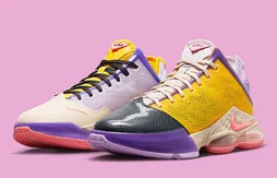 La LeBron 19 Low passe au patchwork