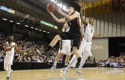 March Madness : Northeastern se qualifie pour la première fois depuis 1991