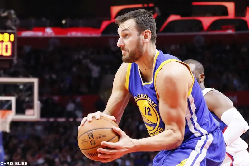 Andrew Bogut