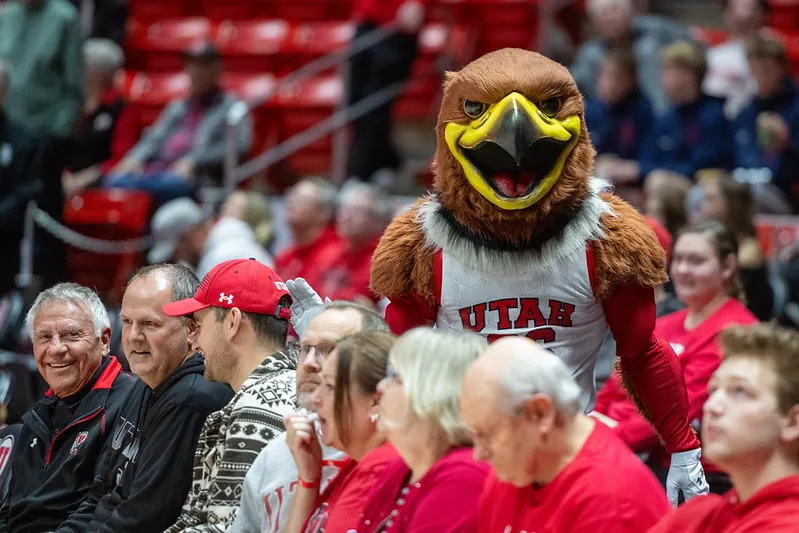 utah utes