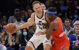 Les Suns intéressés par Bojan Bogdanovic