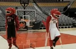 Une nouvelle mascotte pour les Raptors