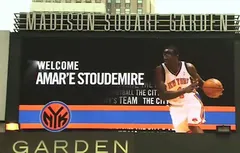 Amare Stoudemire : the number one reason