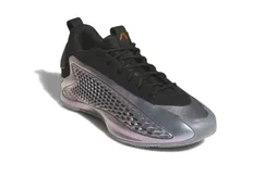 Du gris métal sur la nouvelle A.E. 1 Low