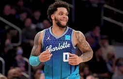 C’est le printemps, et les Hornets bourdonnent à nouveau