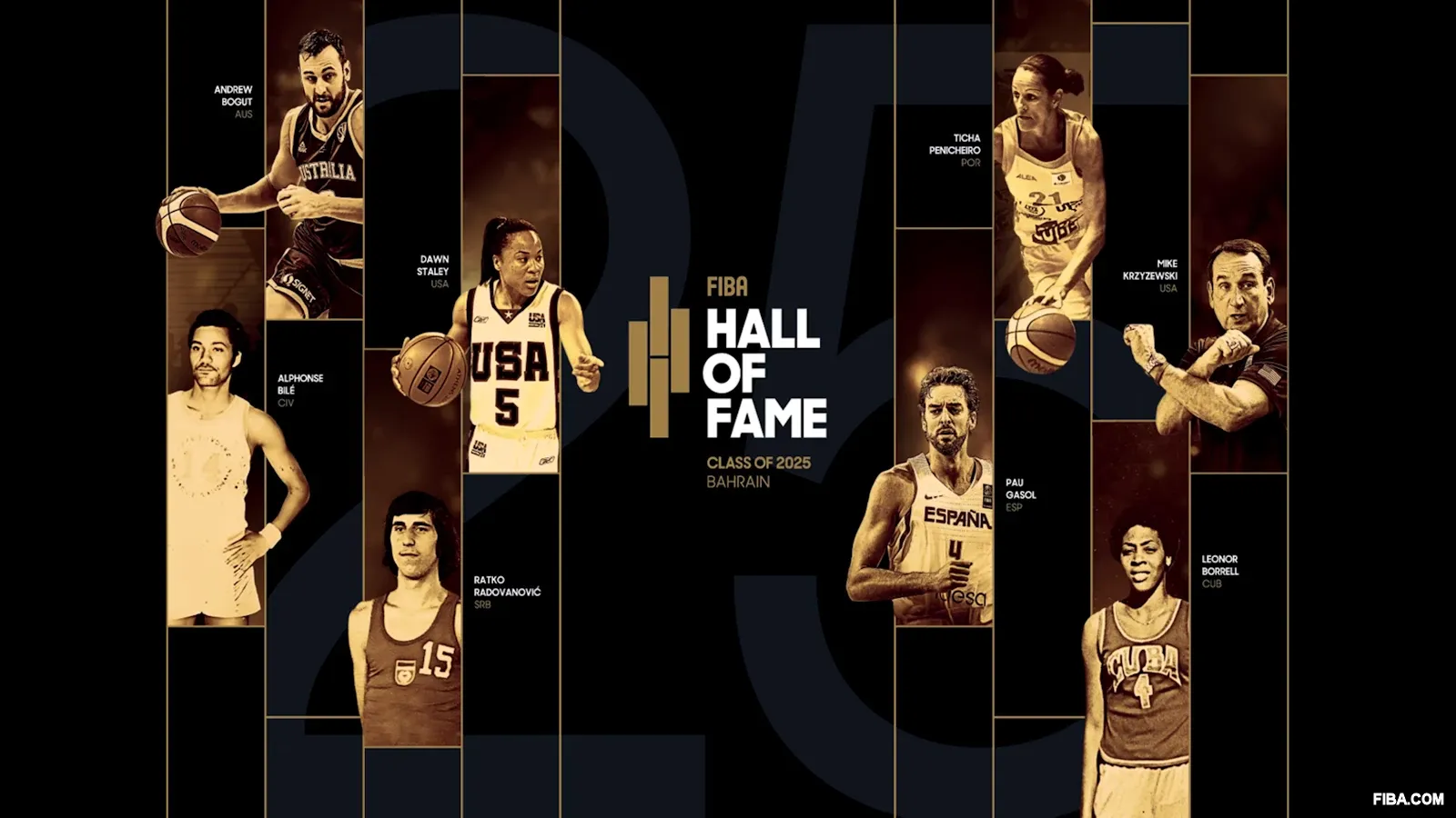 hall of fame 2025 pau gasol