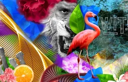 Nike fête les 25 000 points de LeBron James