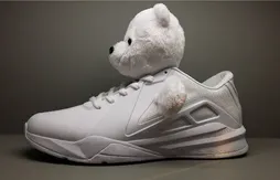 Metta World Peace met un panda sur ses chaussures !