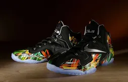 Nike : la LeBron XI plonge dans les Everglades