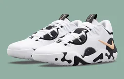 La PG 6 passe au noir et blanc