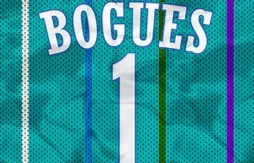 Les Hornets vont-ils reprendre leurs anciennes couleurs ?