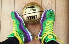 All Star Game : les chaussures de Dwyane Wade vont piquer les yeux…