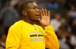 Nate Robinson sur les tablettes de quatre franchises