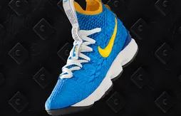 Nike : LeBron James va partager des nouveaux coloris très spéciaux